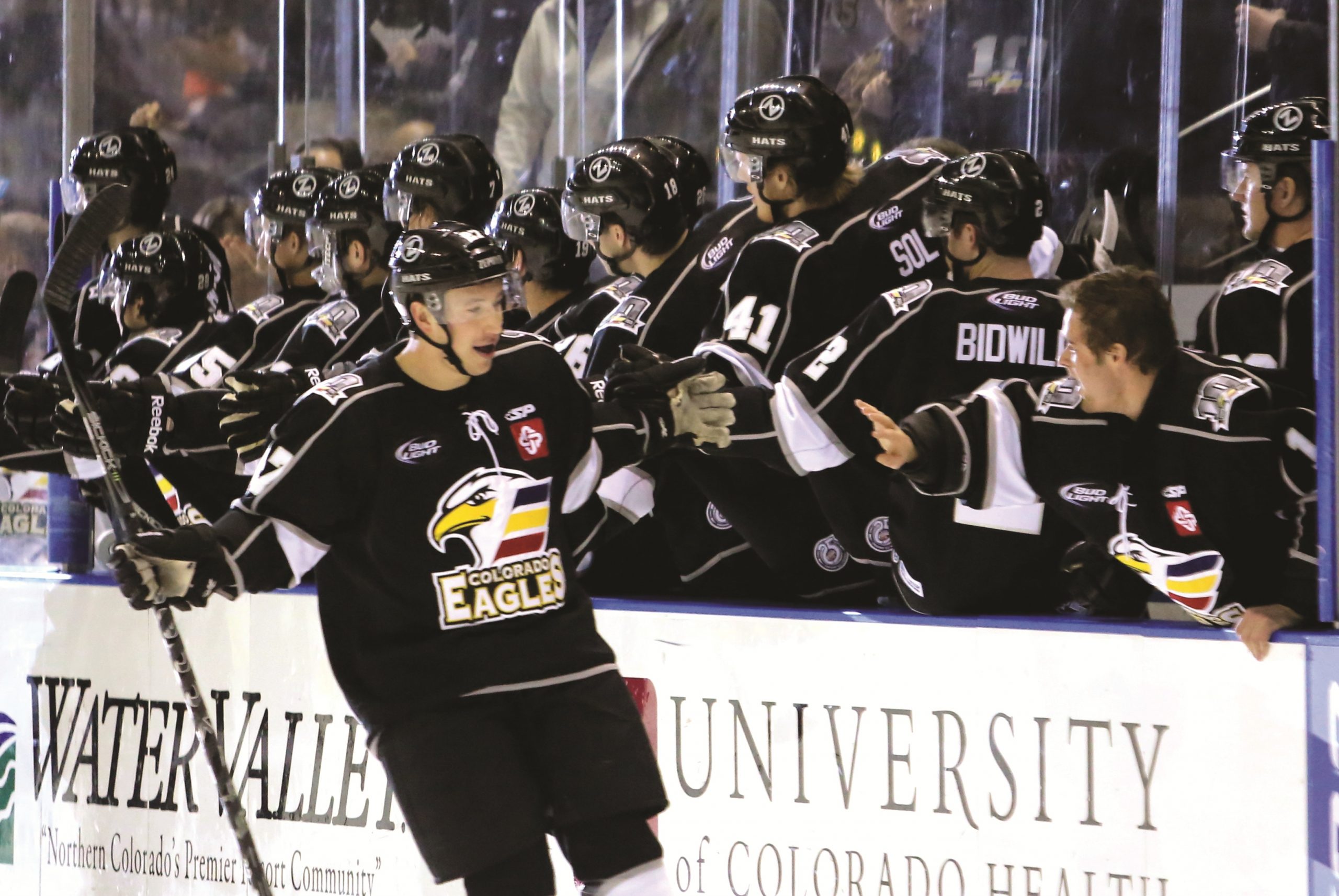 Dylan Hood competing in a professional hockey game