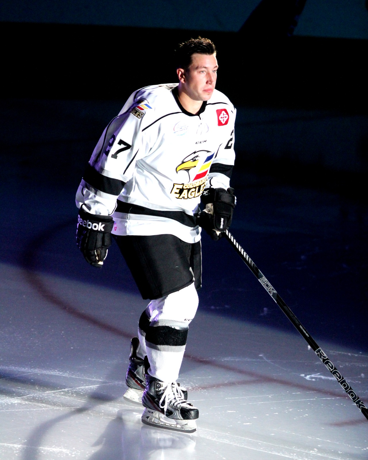 Dylan Hood playing professional hockey